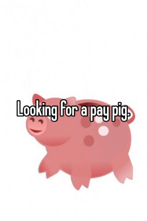 Looking for a pay pig.