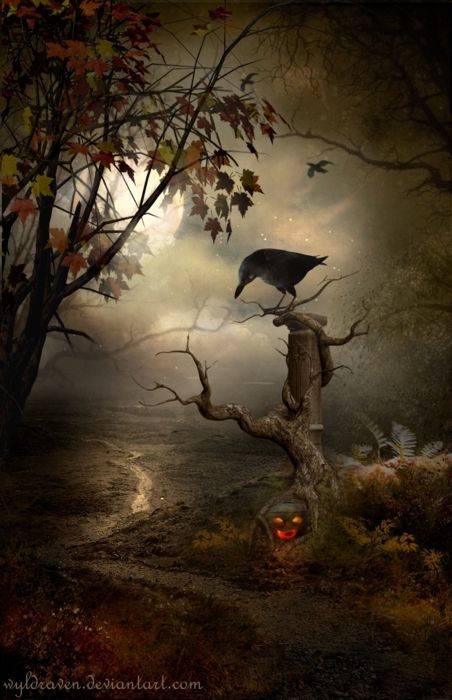 c0d30eeafd0f0f3f14f8c1529ce248d2--halloween-scene-halloween-night