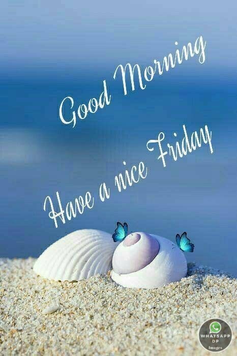 Good-Morning-Gif-Good-Morning-Friday-Good-Morning-Good-Morning-Images-Good-Morning-Quotes-Good-Morning-Message-Good-Morning-Photo-Good-Morning-Wishes-6