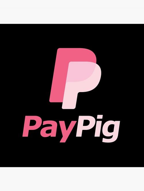 paypal paypig