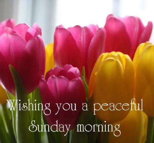 Wishing-You-A-Peaceful-Sunday-Morning-wg0741