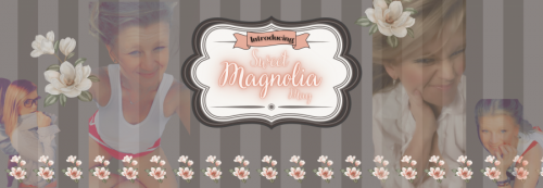 Copy of sweet magnolia snapchat (Facebook Cover) (Google Classroom Header) (6)