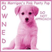 PinkPantyPup