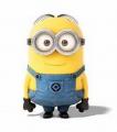 ATM Minion